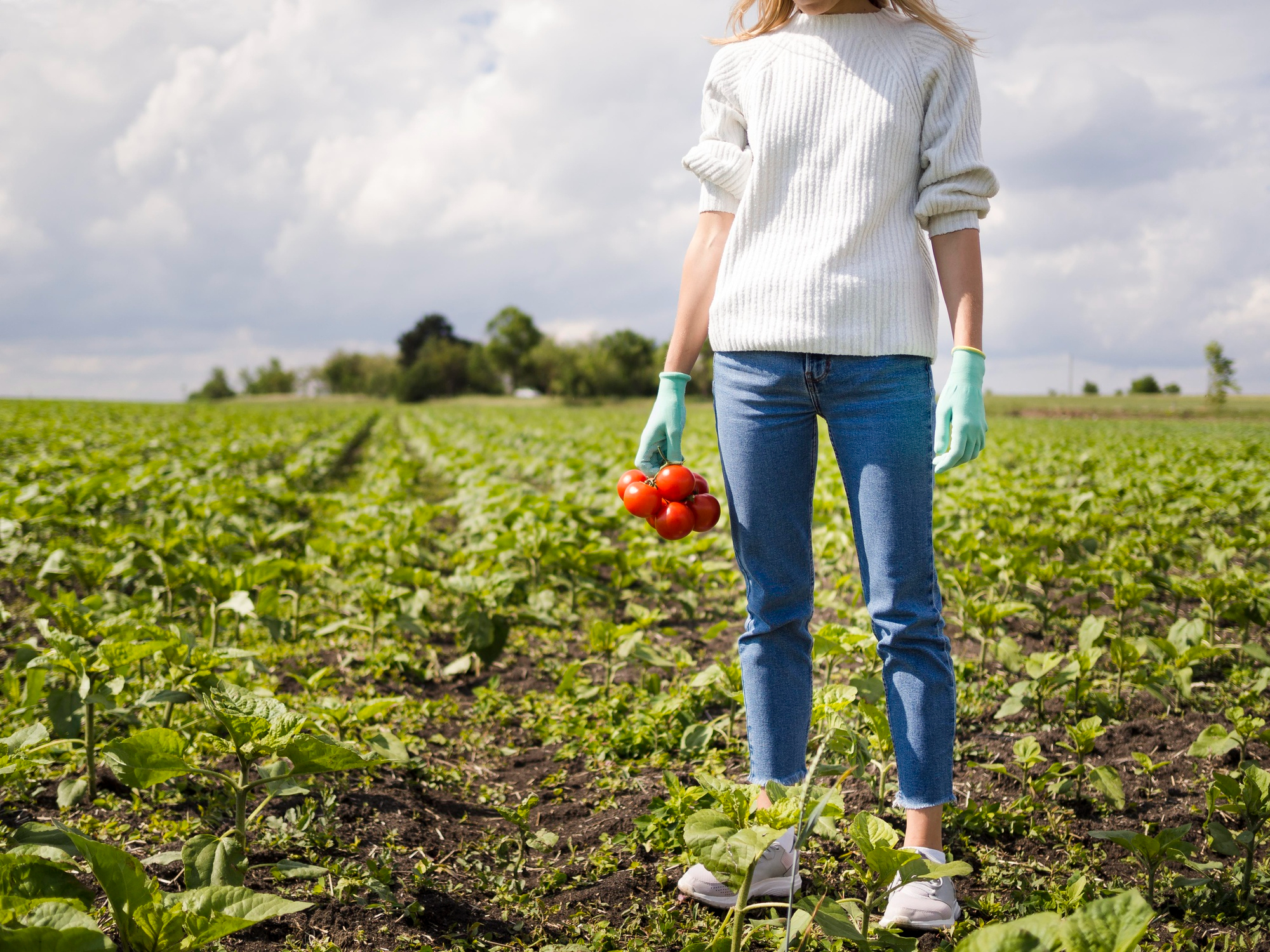 Agricultura